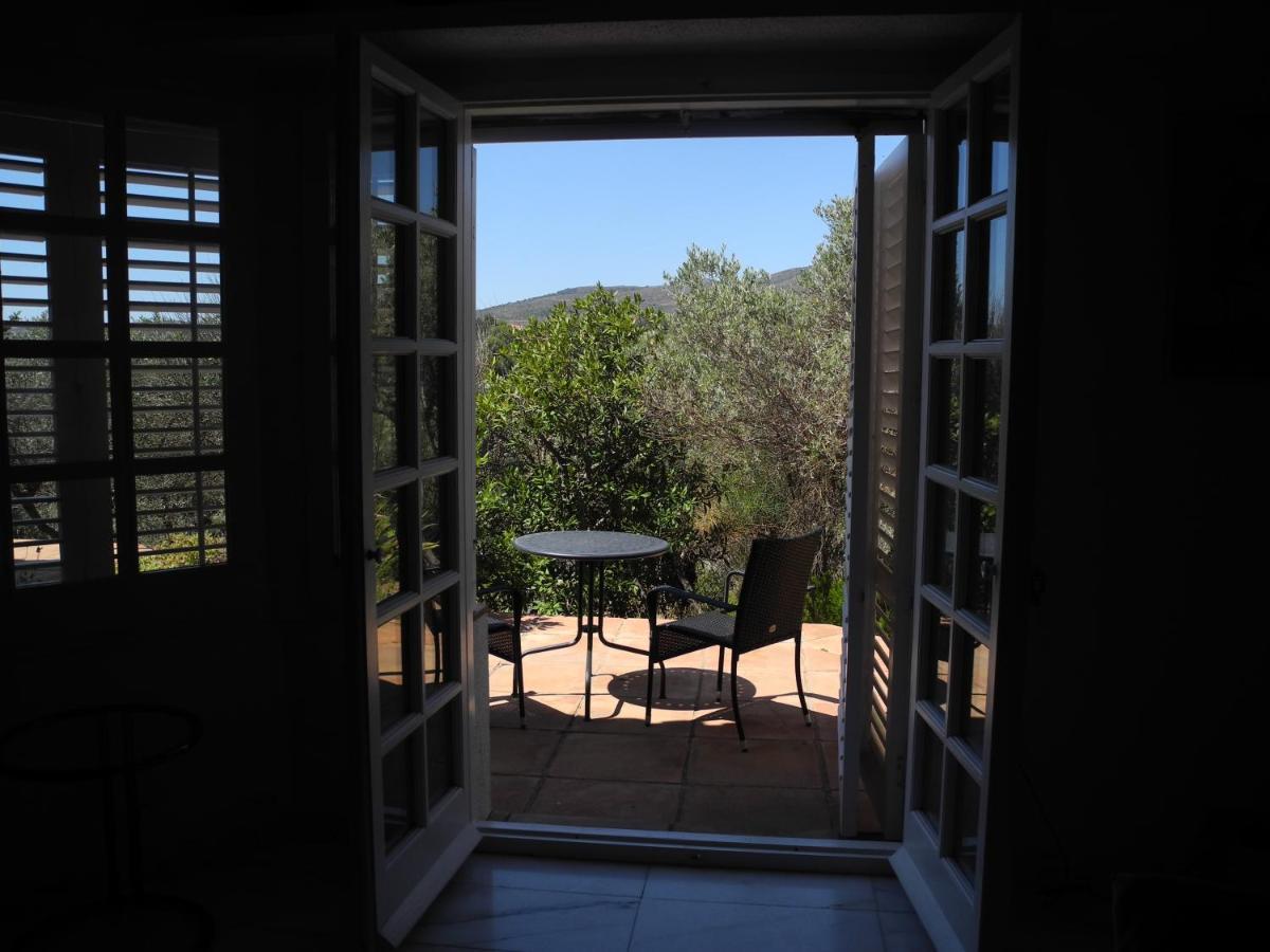 Tranquilos Estudios Cerca De La Playa Cadaqués Exteriör bild
